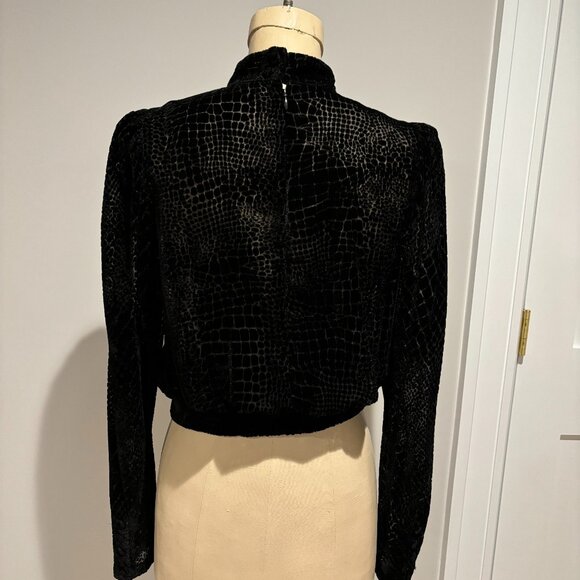 Frame Puff Sleeves Velvet Burnout Blouse - Picture 2 of 9